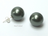 Black Pearl Earrings & Studs