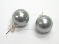 Bridal Pearls - Utopia Silver Grey Shell Pearl Studs